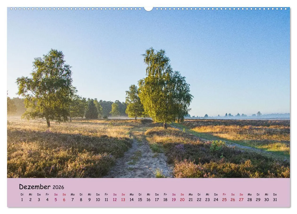 Bild: 9783457622223 | Lüneburger Heide Wege (Wandkalender 2026 DIN A2 quer), CALVENDO...