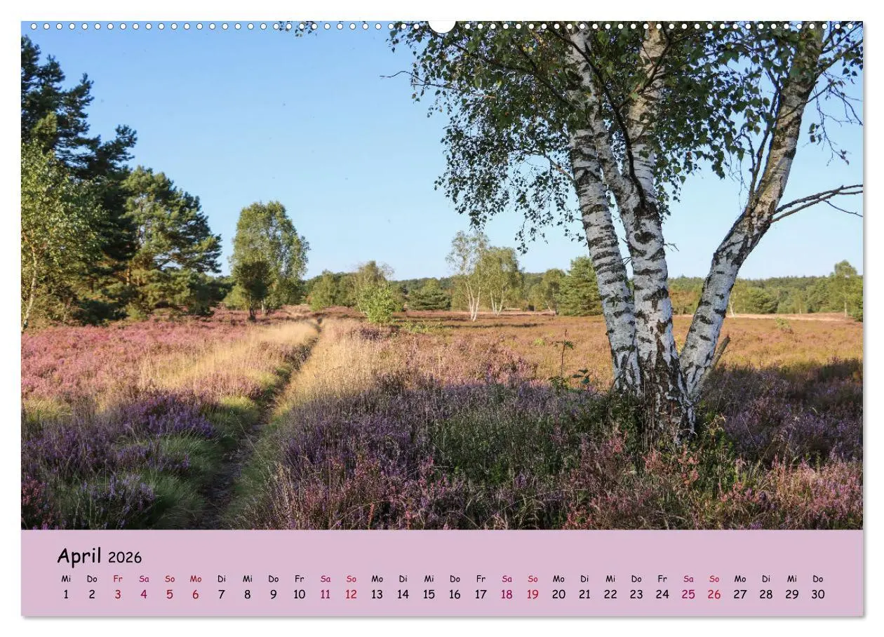 Bild: 9783457622223 | Lüneburger Heide Wege (Wandkalender 2026 DIN A2 quer), CALVENDO...