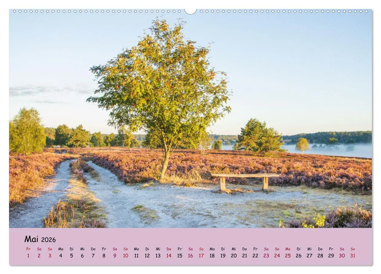 Bild: 9783457622223 | Lüneburger Heide Wege (Wandkalender 2026 DIN A2 quer), CALVENDO...
