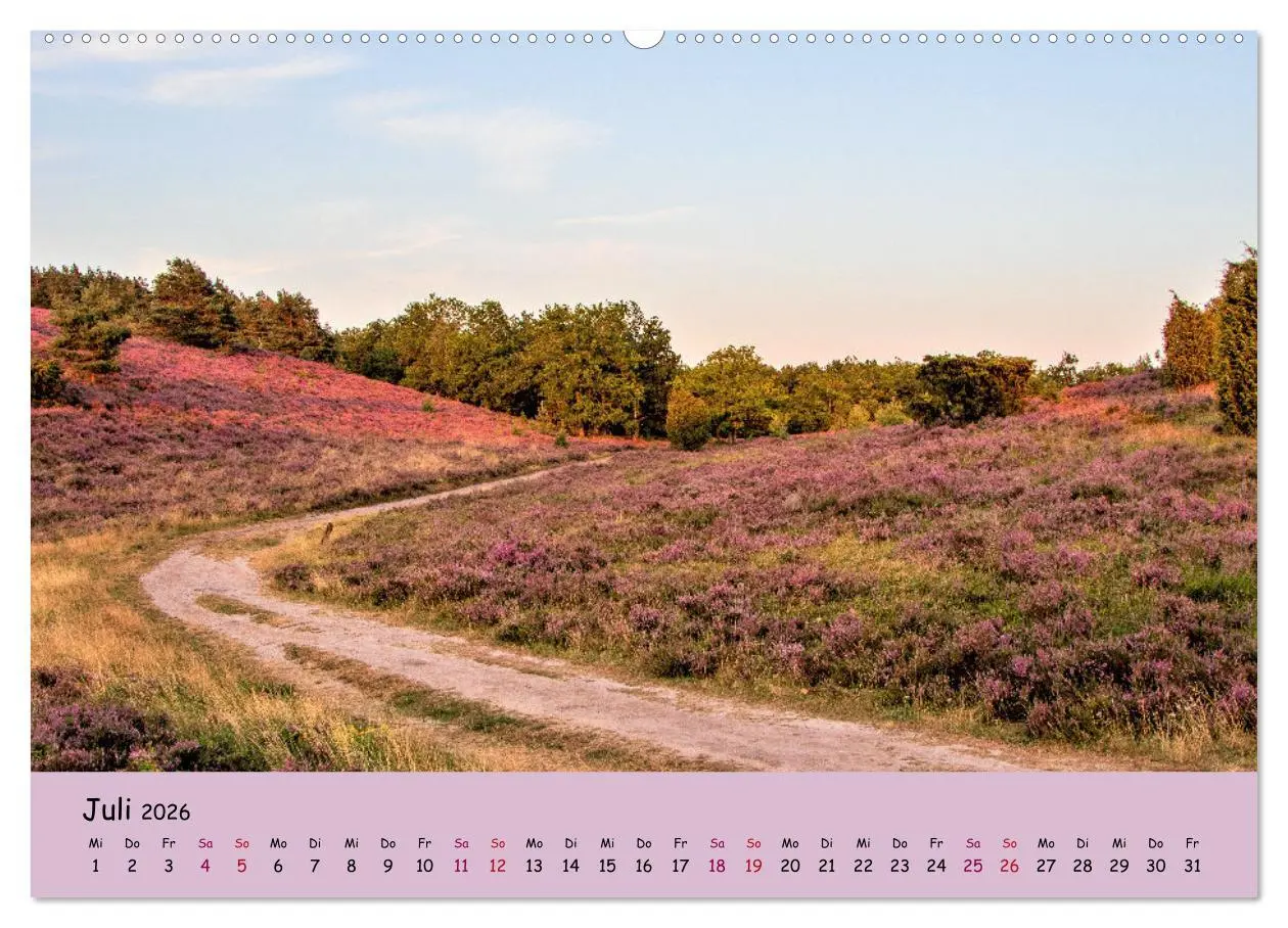 Bild: 9783457622223 | Lüneburger Heide Wege (Wandkalender 2026 DIN A2 quer), CALVENDO...