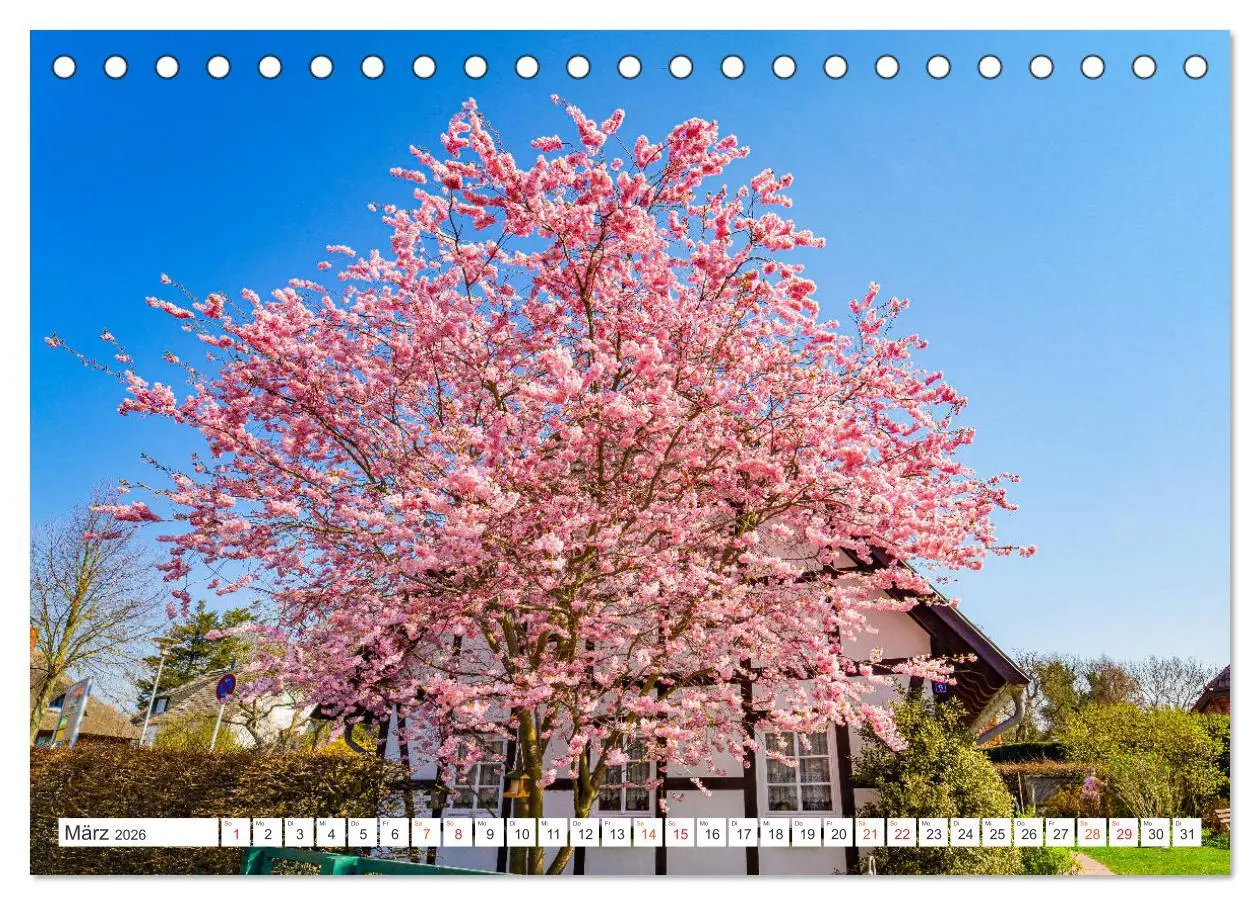 Bild: 9783457792223 | Wustrow Impressionen (Tischkalender 2026 DIN A5 quer), CALVENDO...
