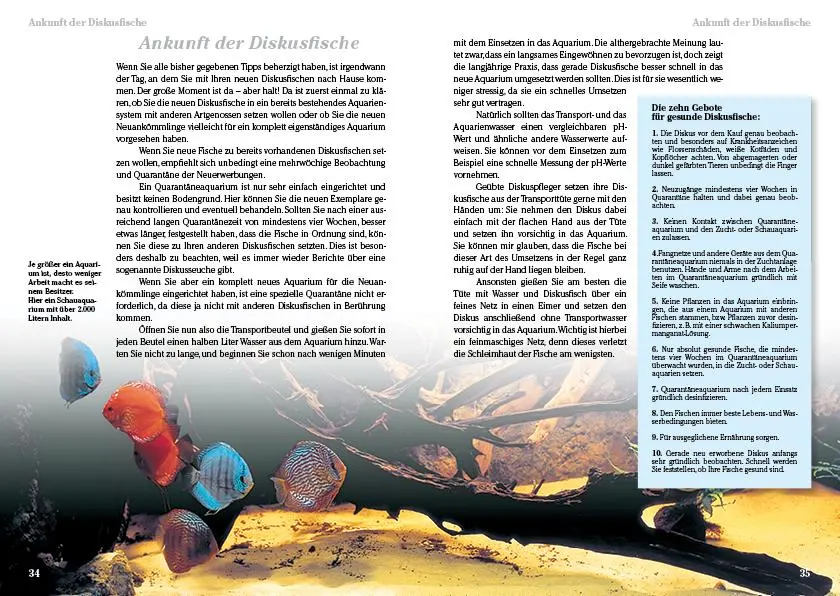 Bild: 9783866592223 | Diskusfische | Bernd Degen | Taschenbuch | Art für Art | Deutsch