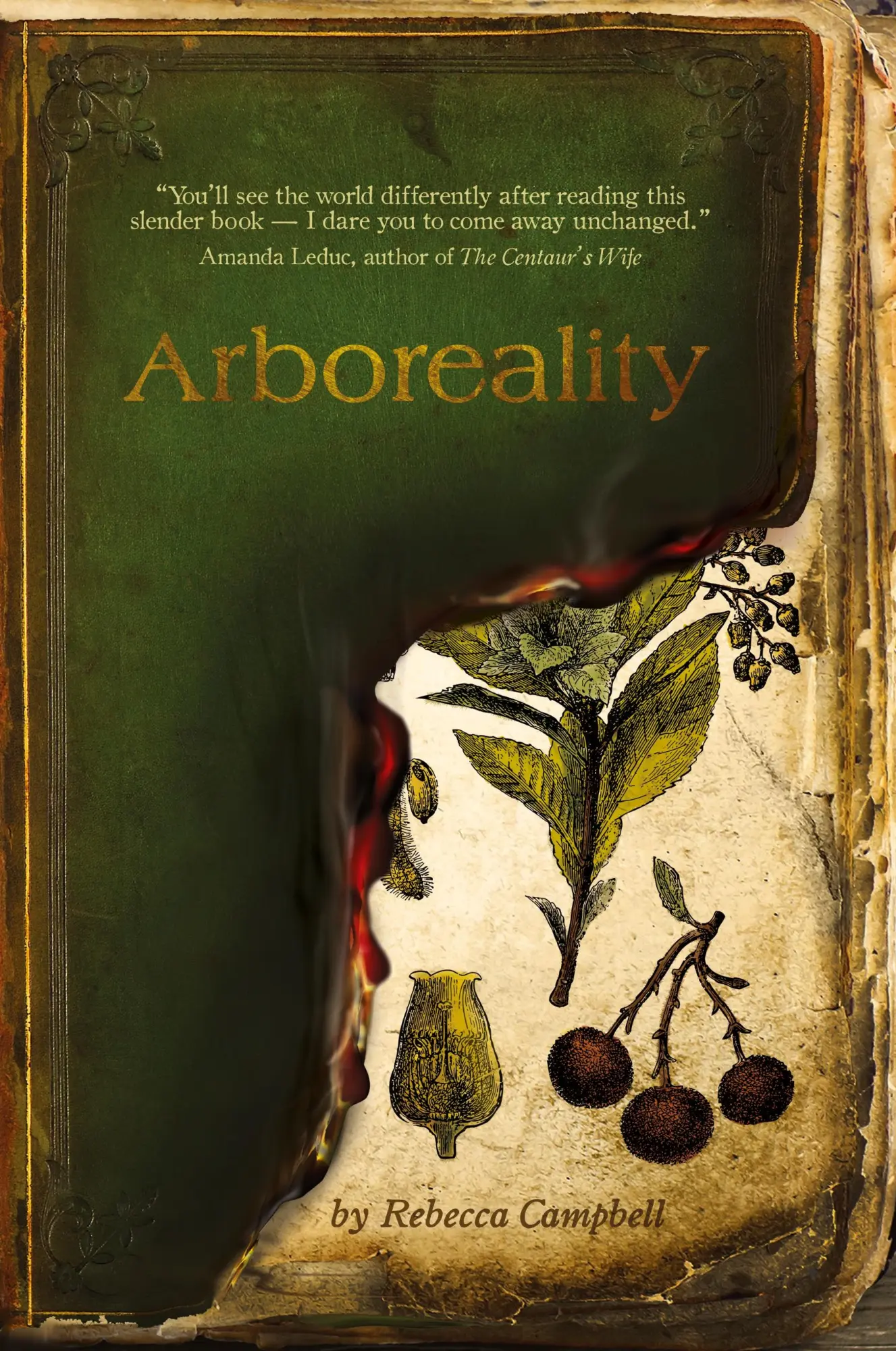 Cover: 9781777682323 | Arboreality | Rebecca Campbell | Taschenbuch | Englisch | 2022