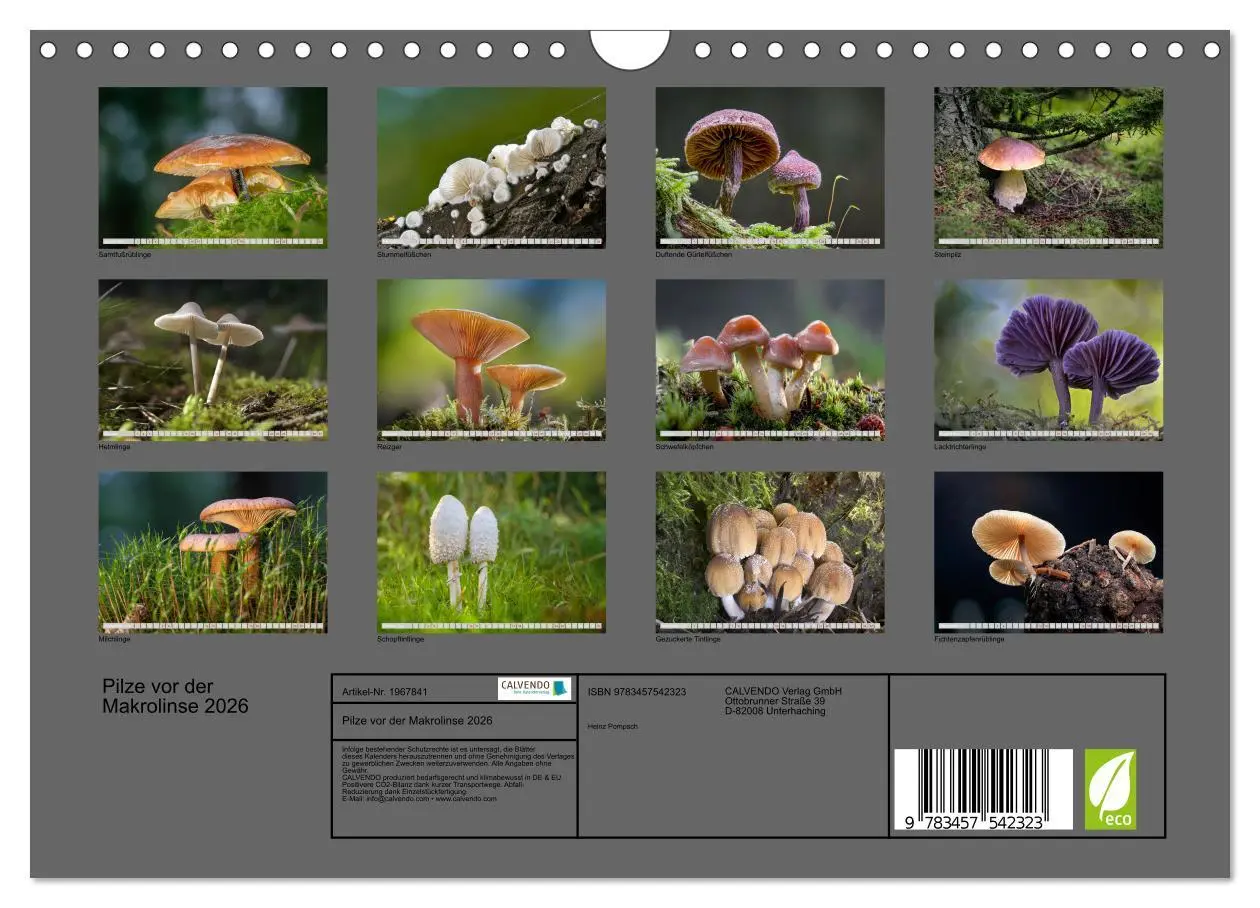 Bild: 9783457542323 | Pilze vor der Makrolinse 2026 (Wandkalender 2026 DIN A4 quer),...