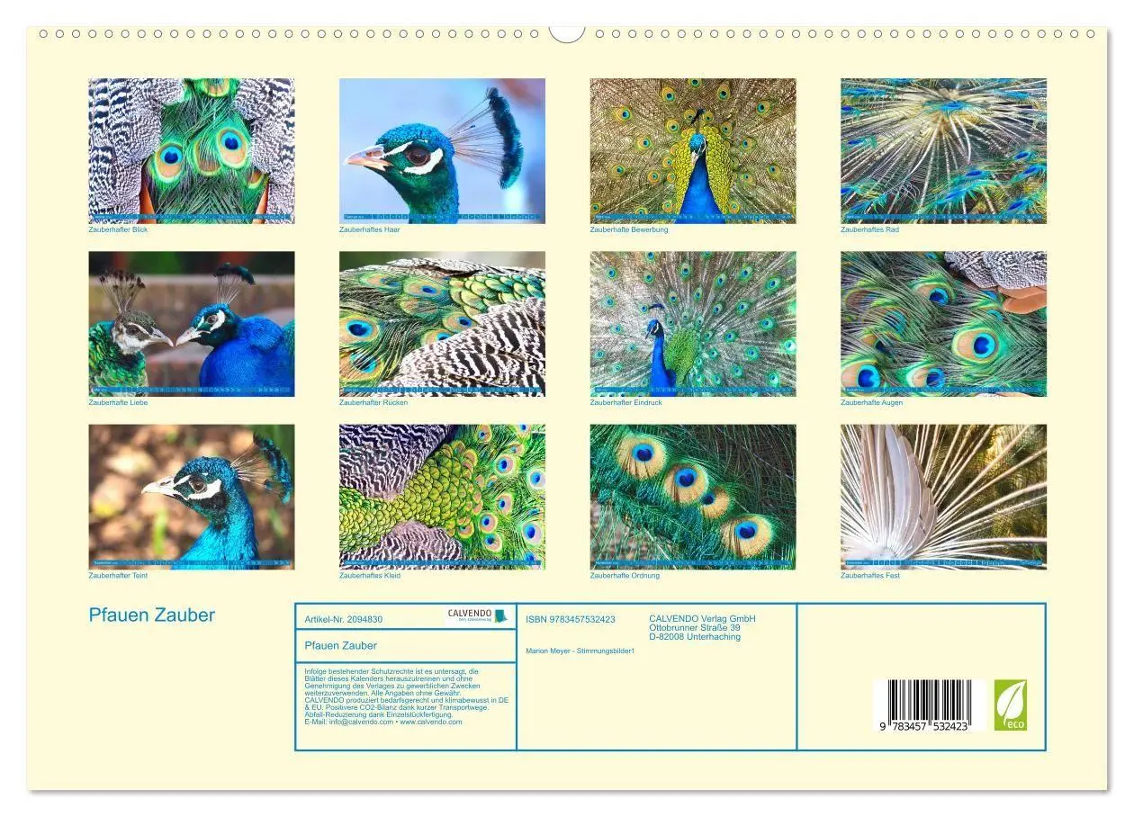Bild: 9783457532423 | Pfauen Zauber (hochwertiger Premium Wandkalender 2026 DIN A2 quer),...