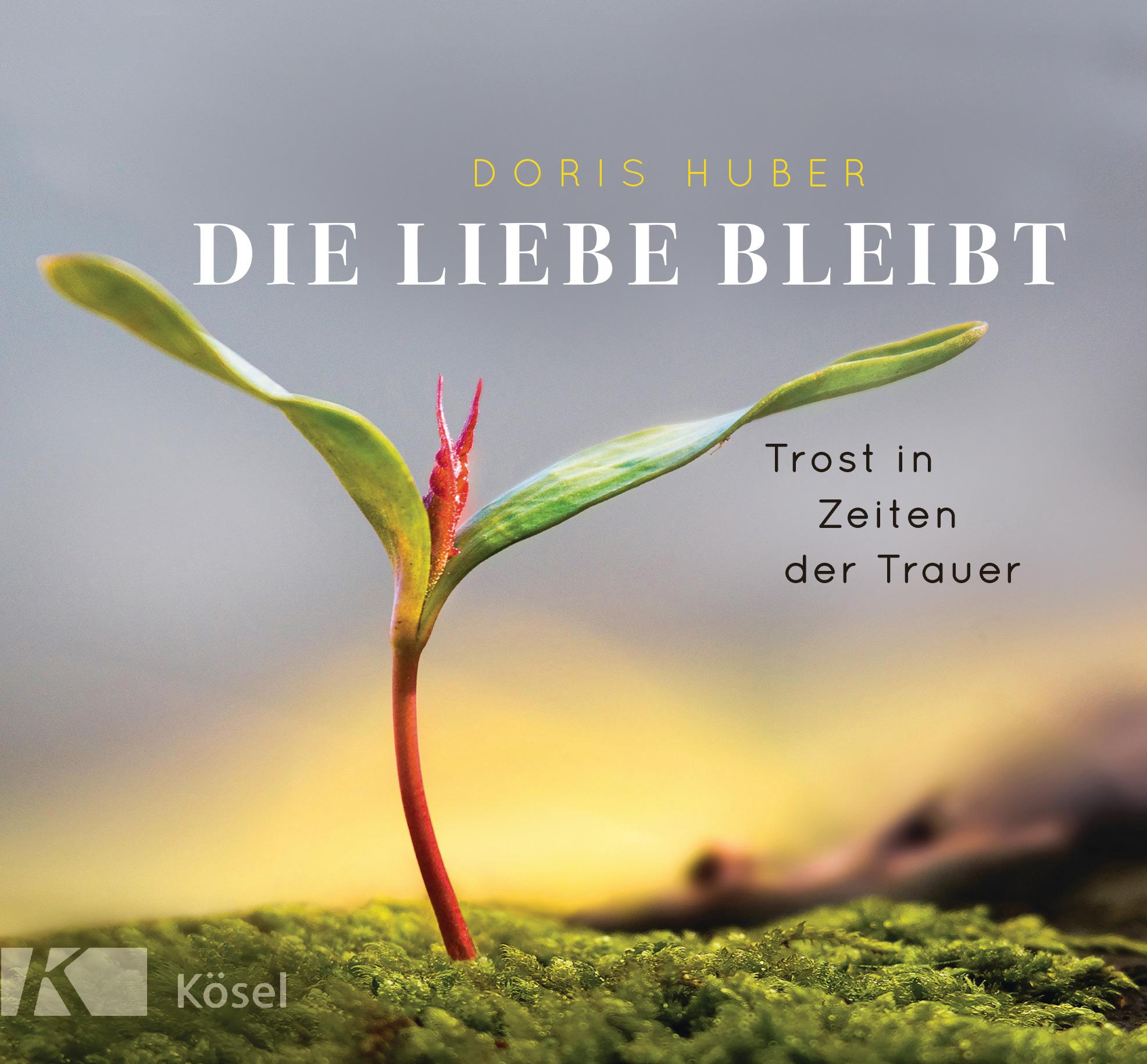 Cover: 9783466372423 | Die Liebe bleibt | Trost in Zeiten der Trauer | Doris Huber | Buch