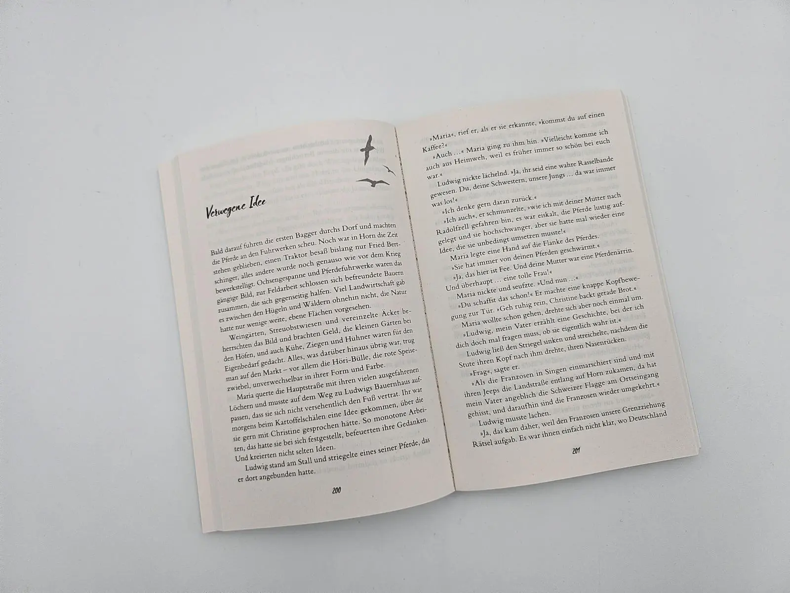 Bild: 9783492322423 | Traum vom besseren Leben | Gaby Hauptmann | Taschenbuch | 384 S.