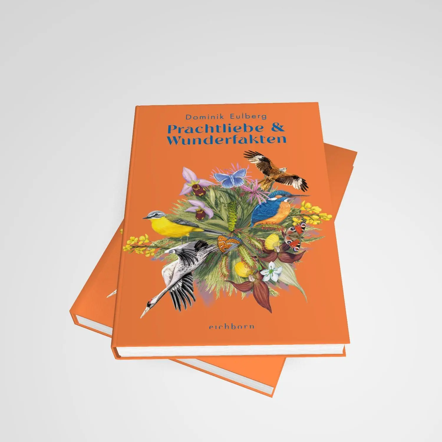 Bild: 9783847902423 | Prachtliebe &amp; Wunderfakten | Dominik Eulberg | Buch | 220 S. | Deutsch