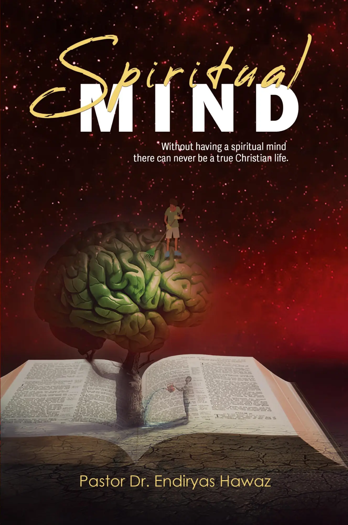 Cover: 9798890412423 | Spiritual Mind | Pastor Endiryas Hawaz | Taschenbuch | Englisch | 2023
