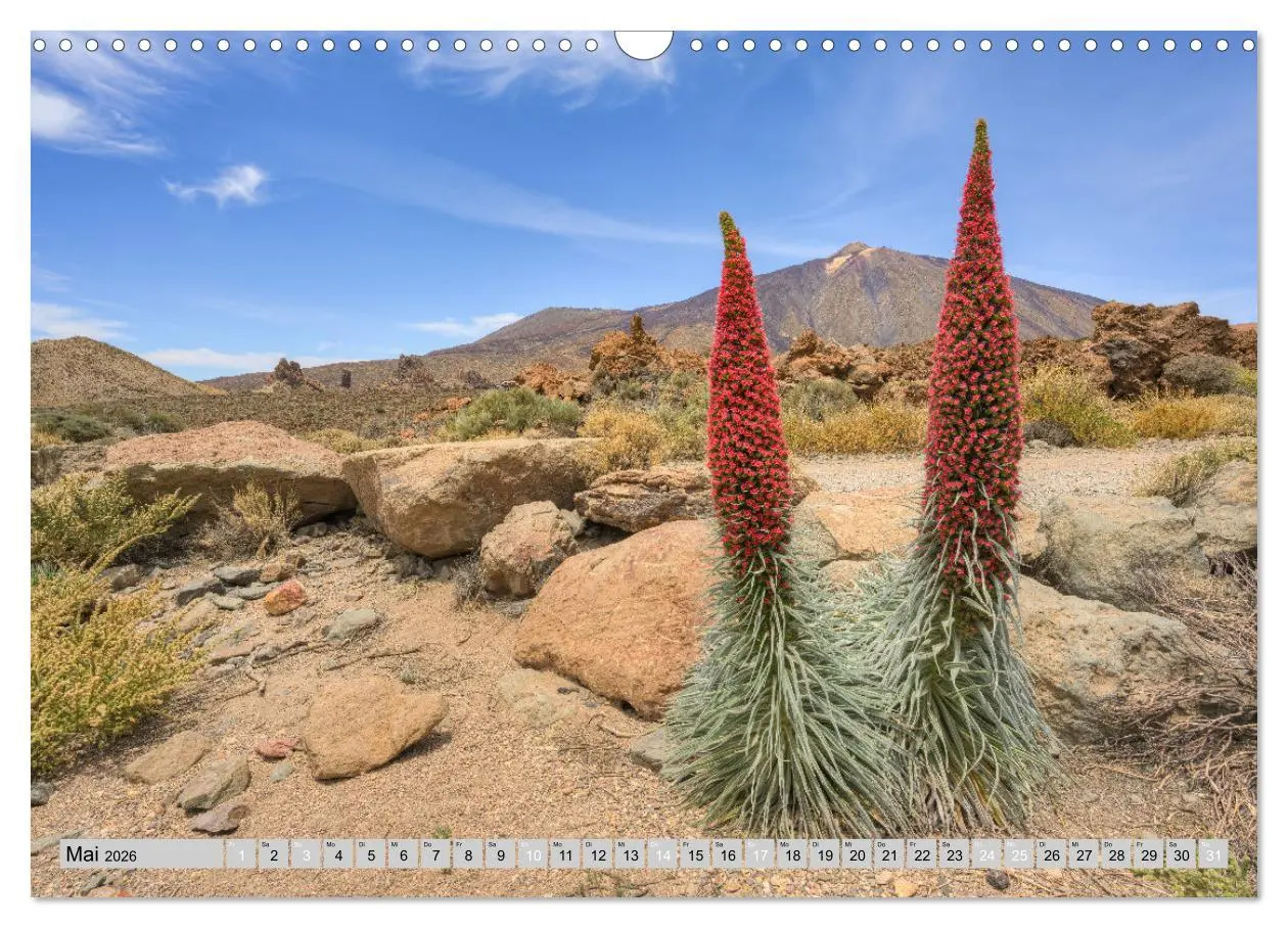 Bild: 9783457382523 | Faszination Teneriffa (Wandkalender 2026 DIN A3 quer), CALVENDO...