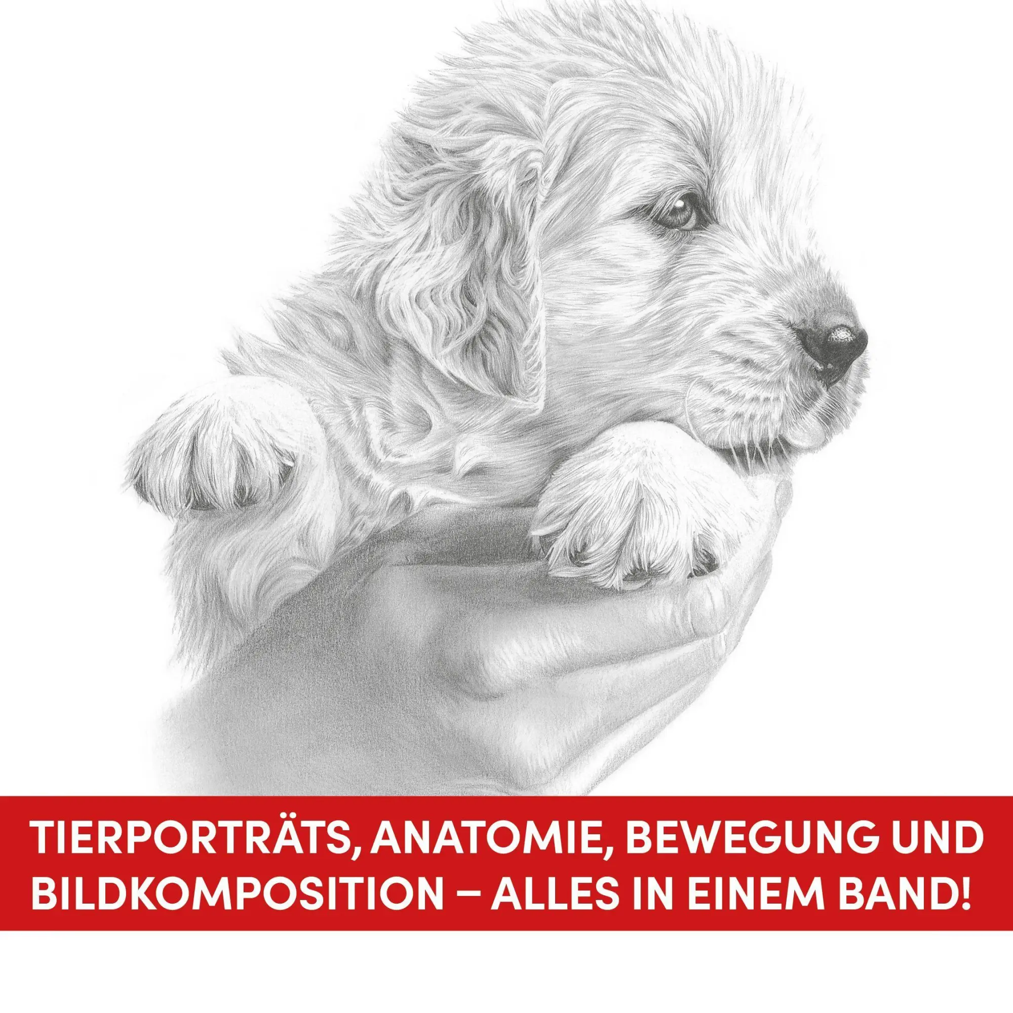 Bild: 9783735882523 | Die Kunst des Zeichnens Tiere | Frechverlag | Buch | 192 S. | Deutsch