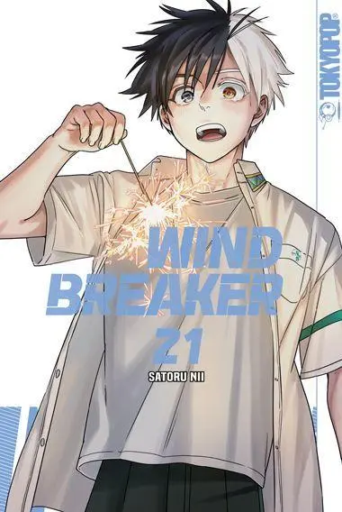 Wind Breaker 21
