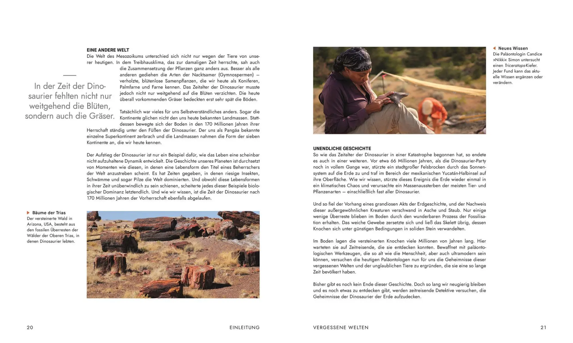 Bild: 9783831052523 | Unter Dinos - Geheimnisse der Urzeit | Andrew Cohen (u. a.) | Buch