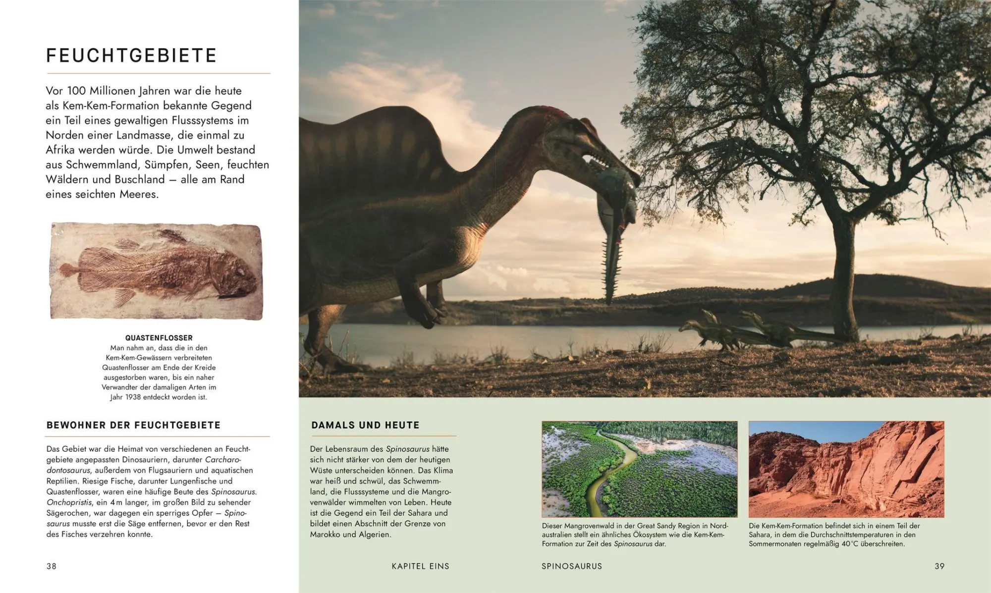 Bild: 9783831052523 | Unter Dinos - Geheimnisse der Urzeit | Andrew Cohen (u. a.) | Buch