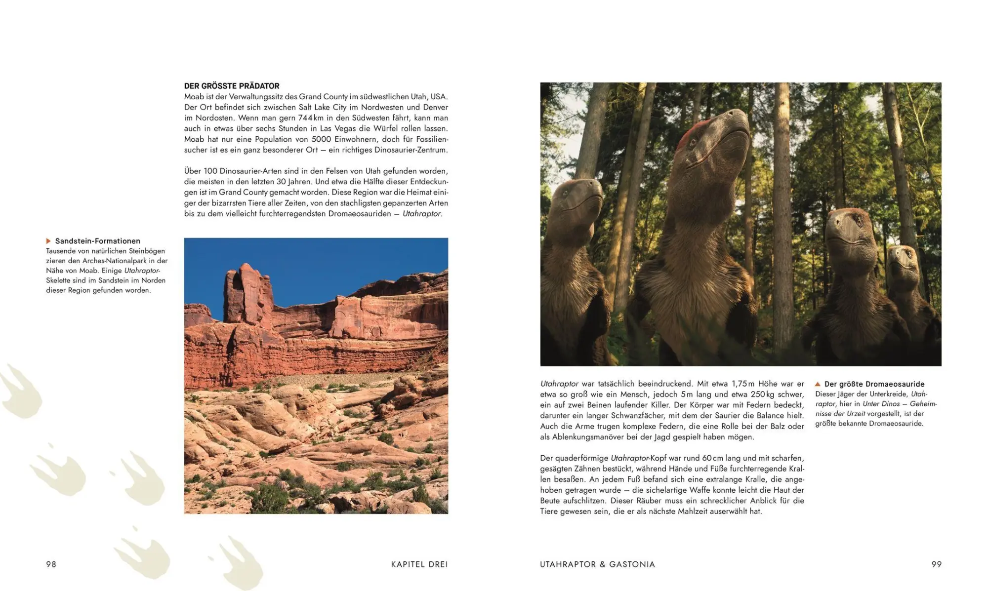 Bild: 9783831052523 | Unter Dinos - Geheimnisse der Urzeit | Andrew Cohen (u. a.) | Buch