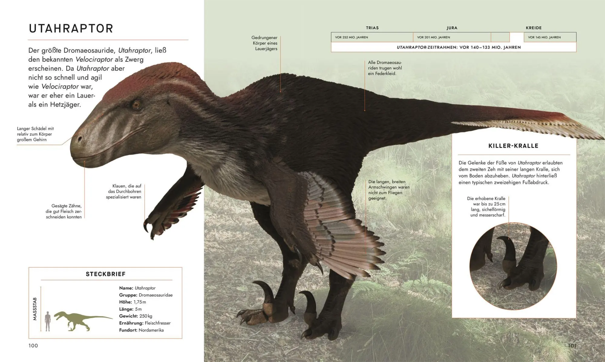 Bild: 9783831052523 | Unter Dinos - Geheimnisse der Urzeit | Andrew Cohen (u. a.) | Buch