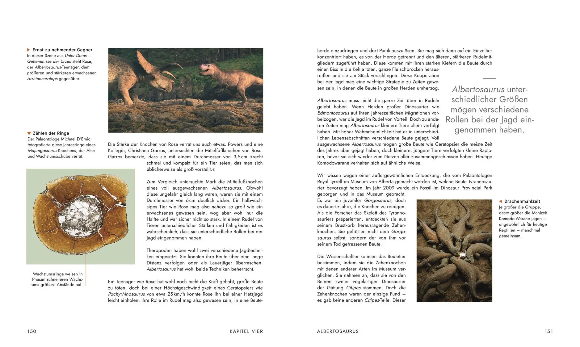 Bild: 9783831052523 | Unter Dinos - Geheimnisse der Urzeit | Andrew Cohen (u. a.) | Buch