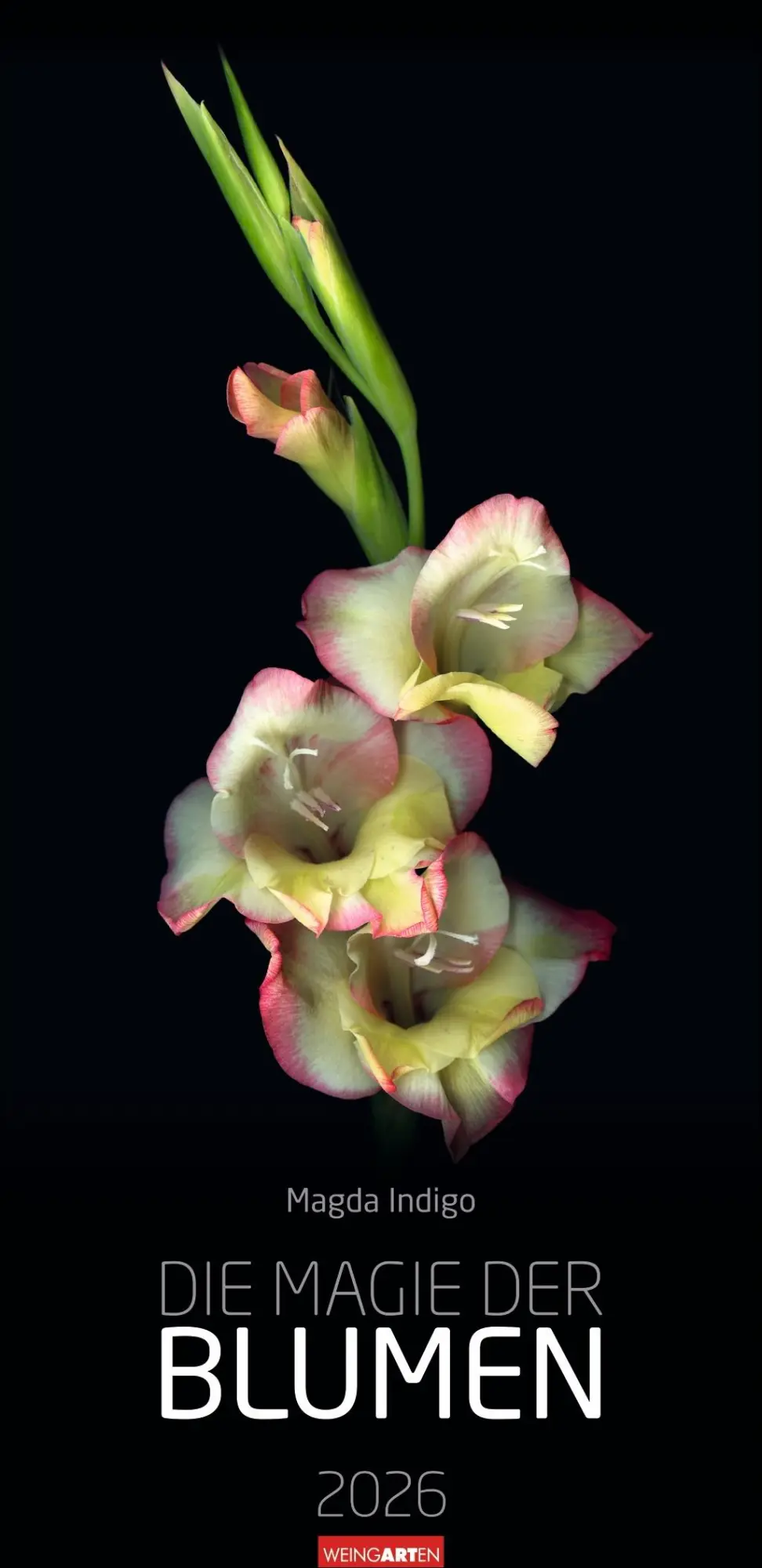 Cover: 9783839902523 | Die Magie der Blumen Kalender 2026 | Magda Indigo | Kalender | 14 S.