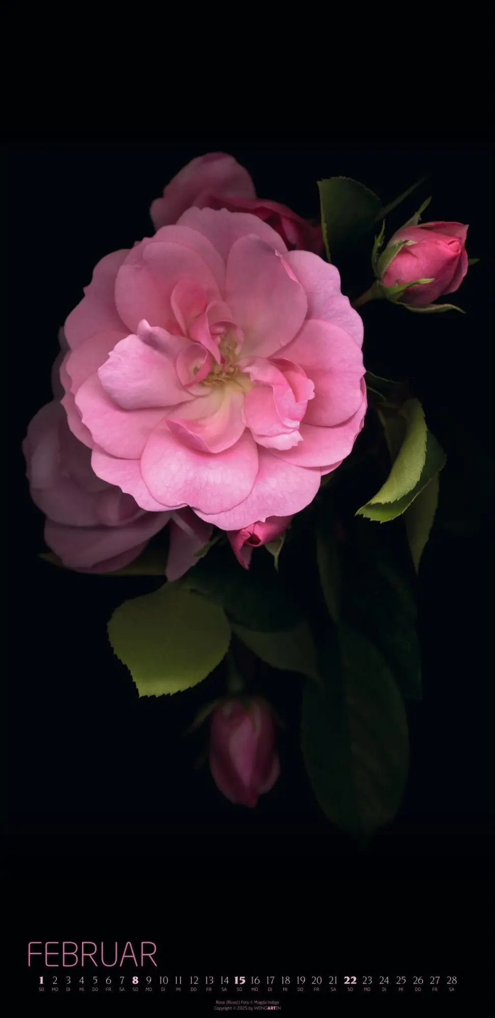Bild: 9783839902523 | Die Magie der Blumen Kalender 2026 | Magda Indigo | Kalender | 14 S.