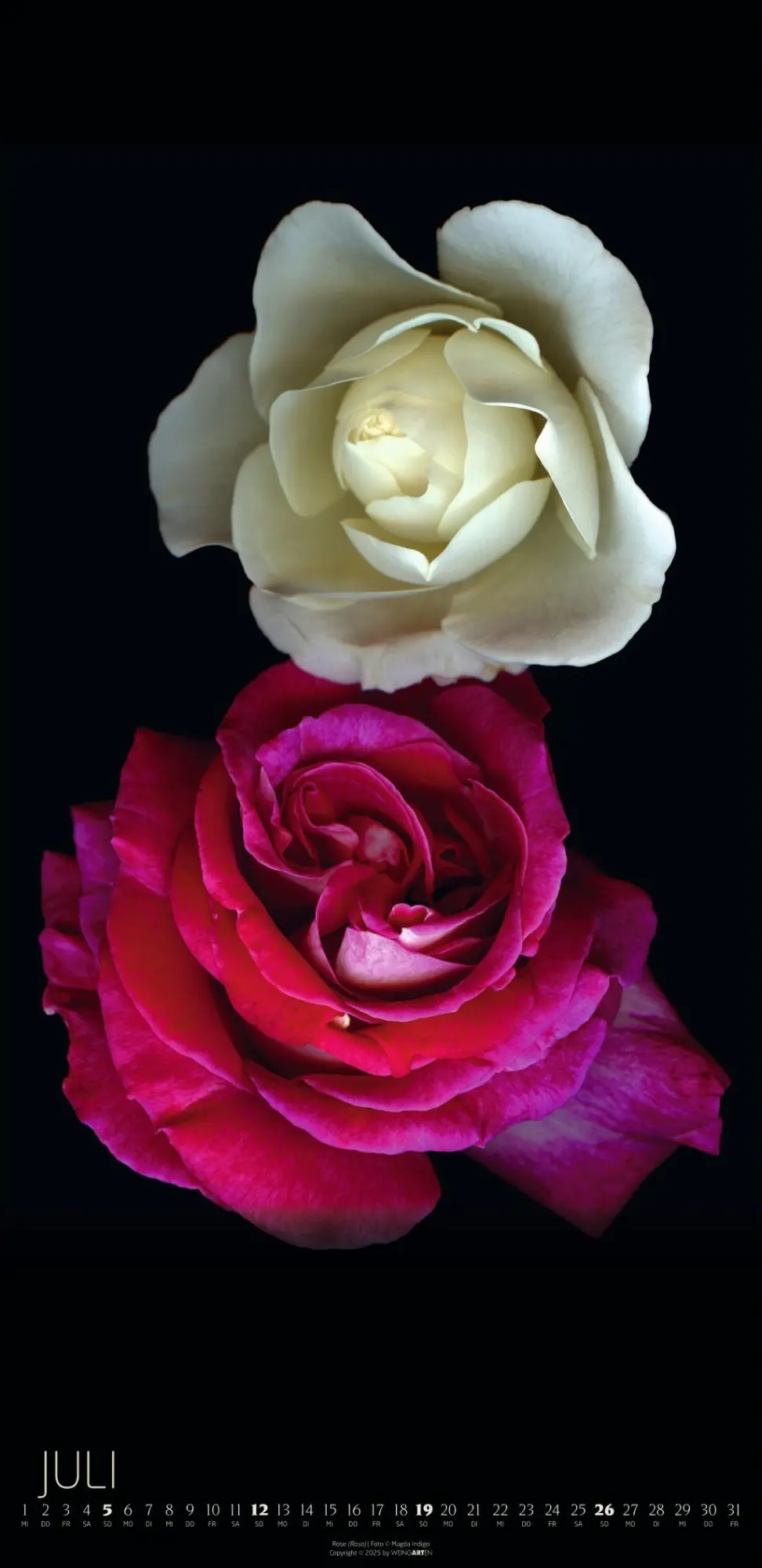 Bild: 9783839902523 | Die Magie der Blumen Kalender 2026 | Magda Indigo | Kalender | 14 S.