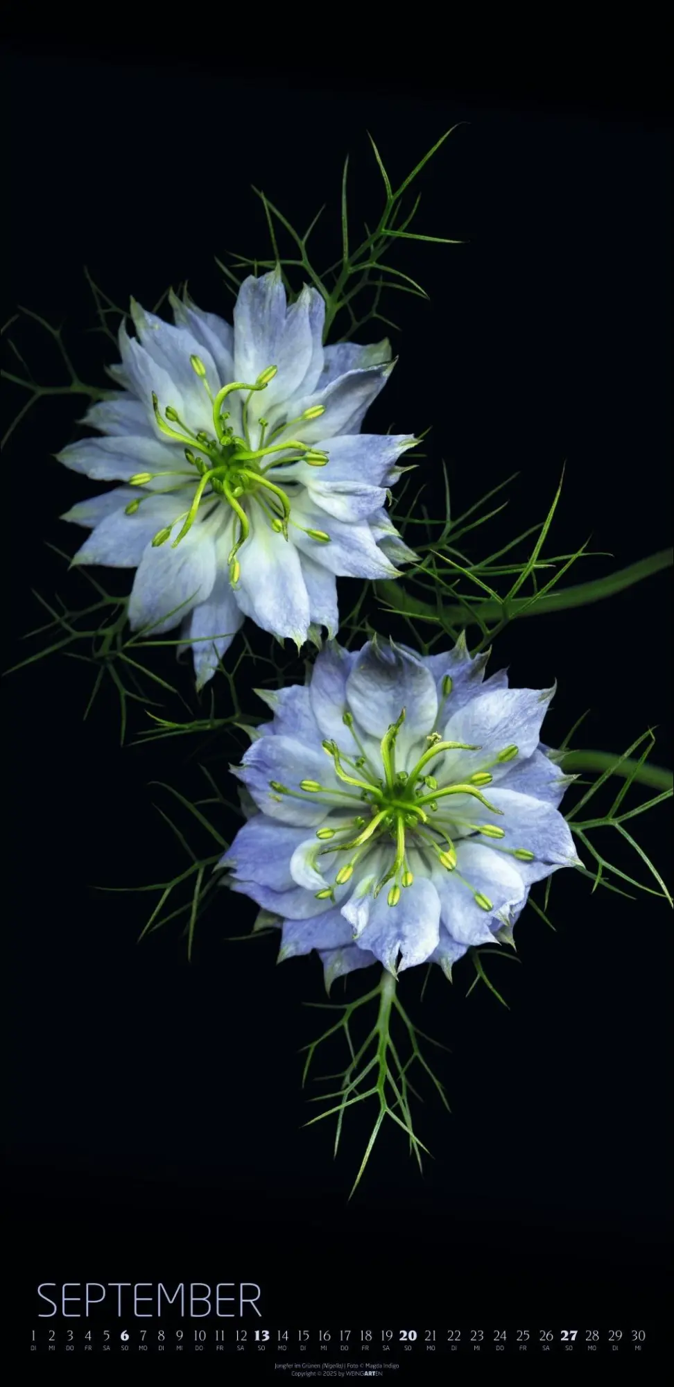 Bild: 9783839902523 | Die Magie der Blumen Kalender 2026 | Magda Indigo | Kalender | 14 S.