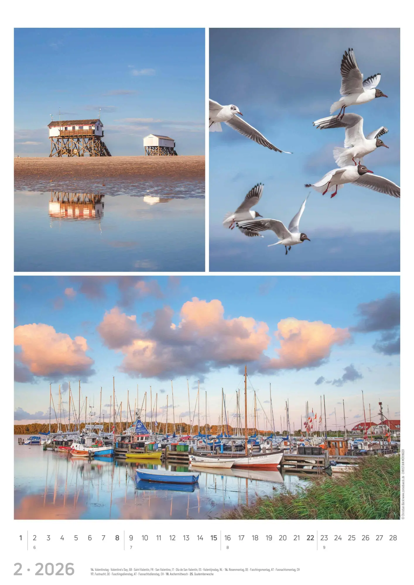 Bild: 4069095002623 | Strandgeflüster - Momente am Meer 2026 - Bildkalender A3 (29,7x42...