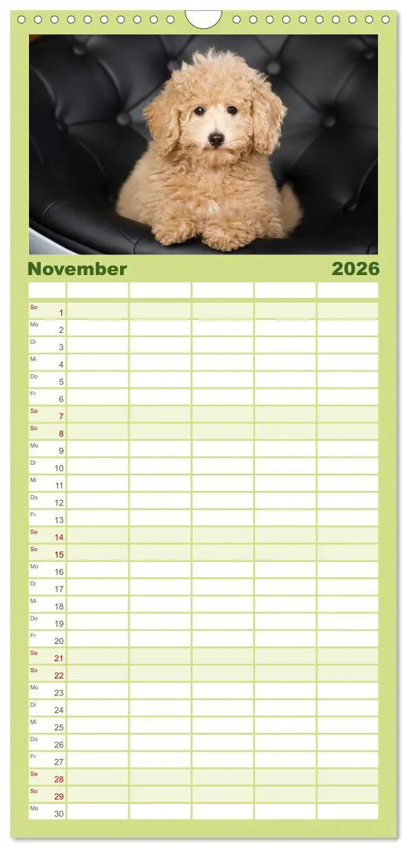 Bild: 9783516522723 | Familienplaner 2026 - Pudel mit 5 Spalten (Wandkalender, 21 x 45...