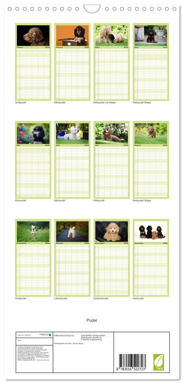 Bild: 9783516522723 | Familienplaner 2026 - Pudel mit 5 Spalten (Wandkalender, 21 x 45...