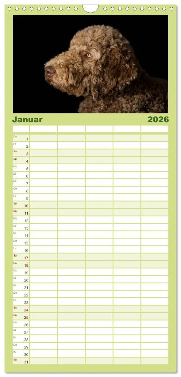 Bild: 9783516522723 | Familienplaner 2026 - Pudel mit 5 Spalten (Wandkalender, 21 x 45...