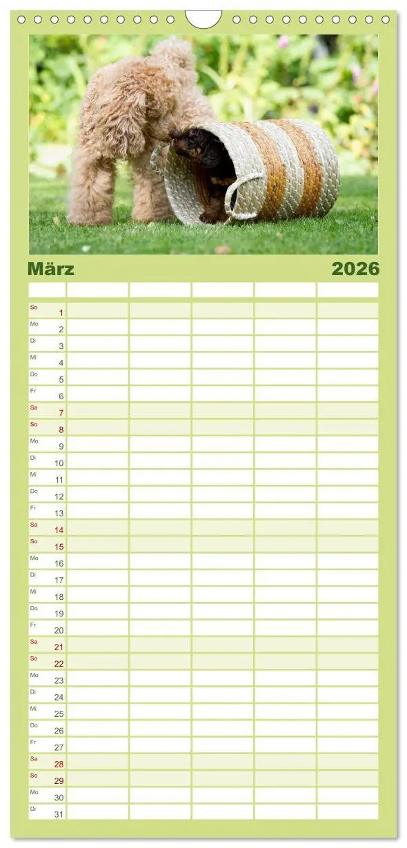 Bild: 9783516522723 | Familienplaner 2026 - Pudel mit 5 Spalten (Wandkalender, 21 x 45...