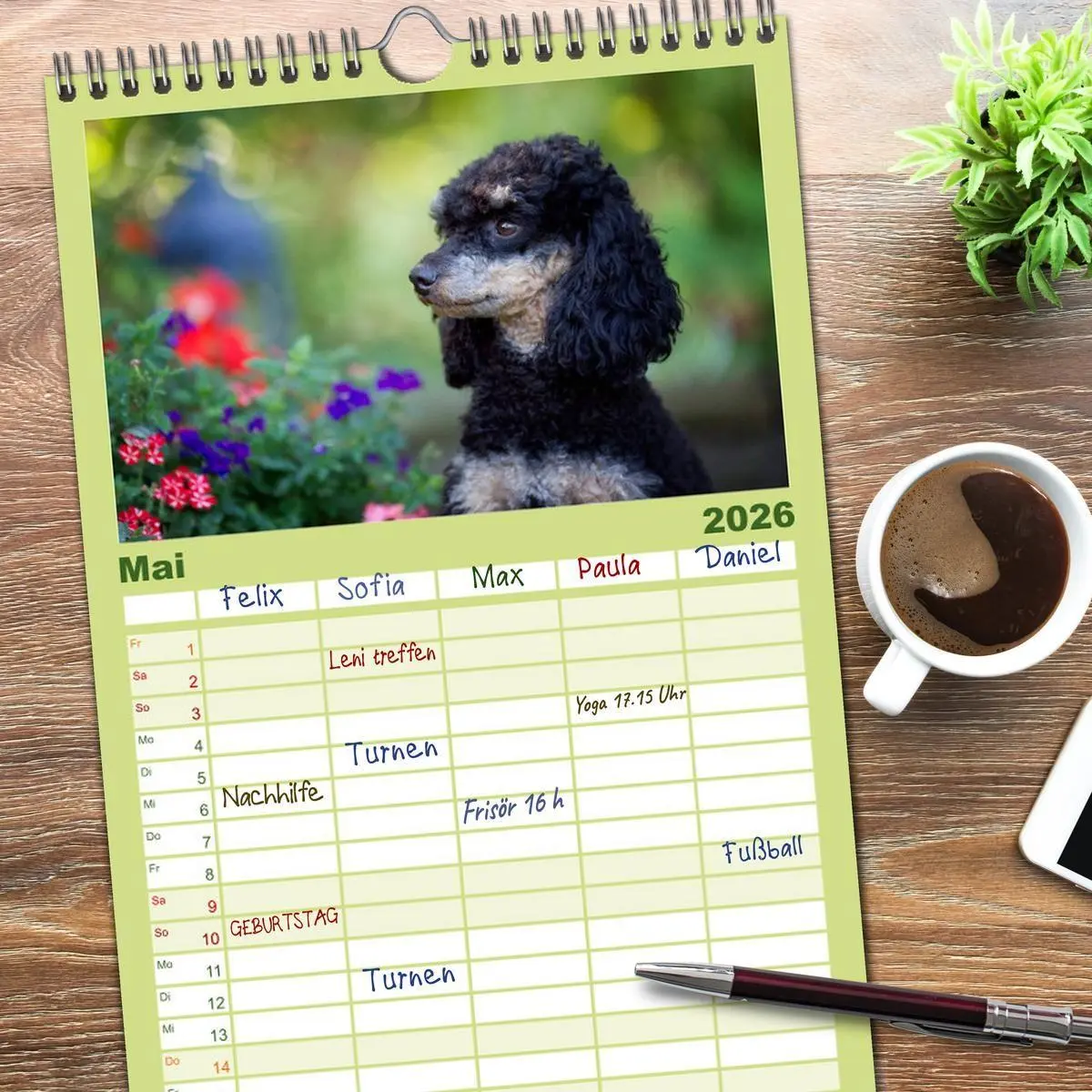 Bild: 9783516522723 | Familienplaner 2026 - Pudel mit 5 Spalten (Wandkalender, 21 x 45...