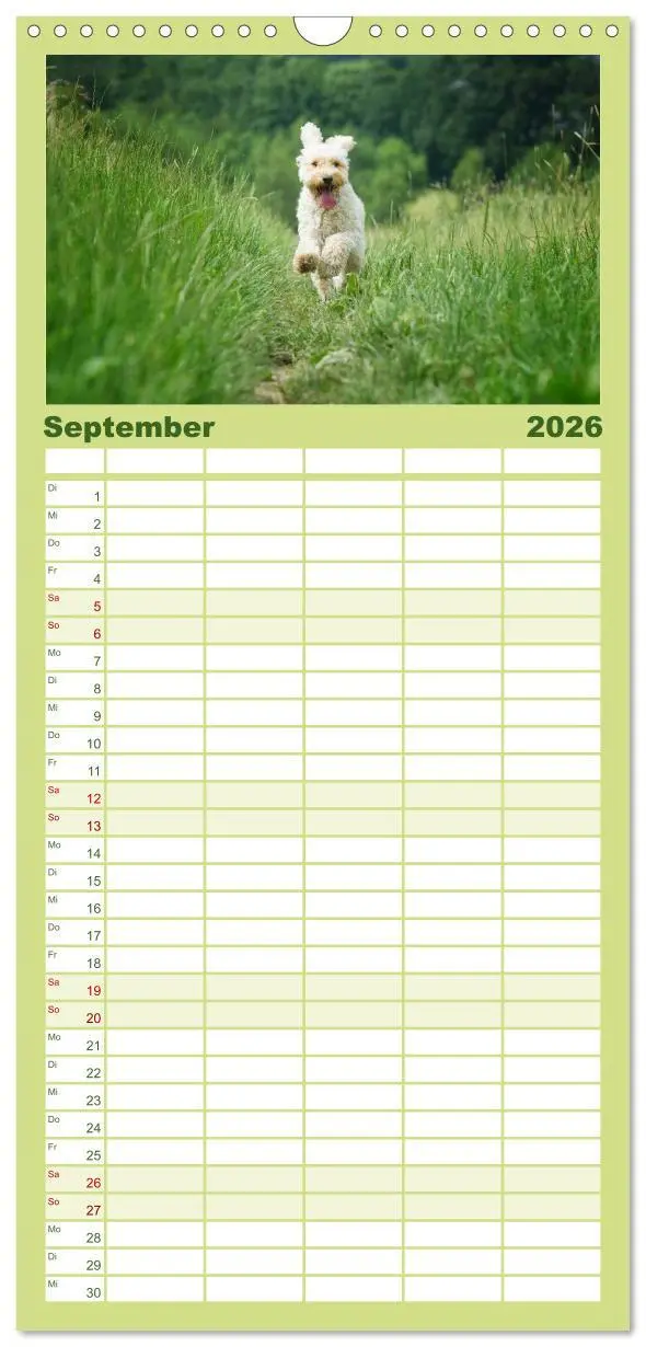 Bild: 9783516522723 | Familienplaner 2026 - Pudel mit 5 Spalten (Wandkalender, 21 x 45...