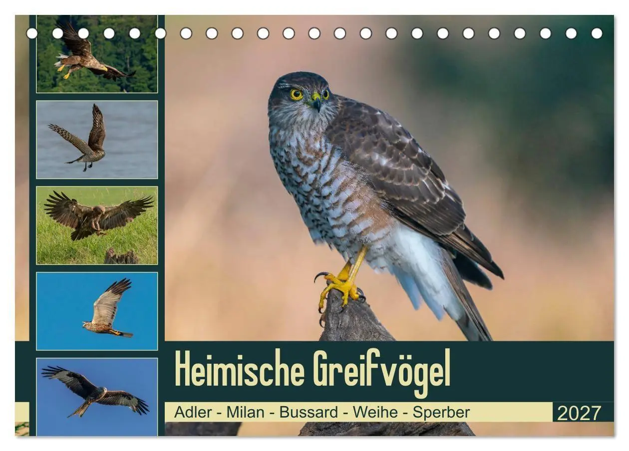 Heimische GREIFVÖGEL Adler Milan Bussard Weihe Sperber (Tischkalender 2027 DIN A5 quer), CALVENDO Monatskalender