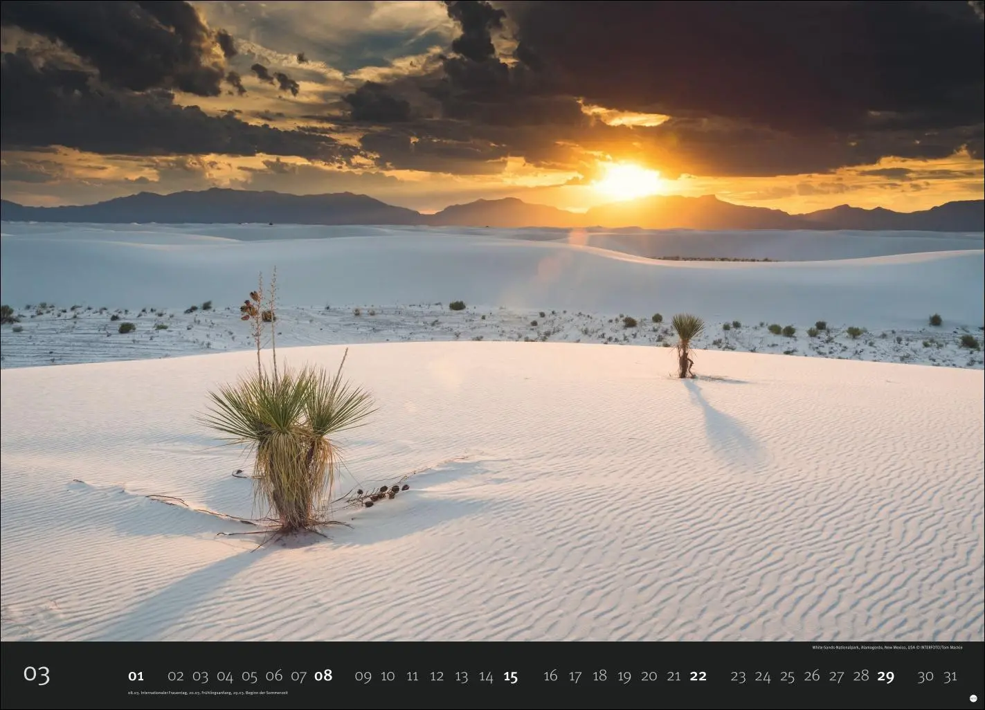 Bild: 9783756412723 | Landscapes Edition Kalender 2026 | Harenberg | Kalender | 14 S. | 2026
