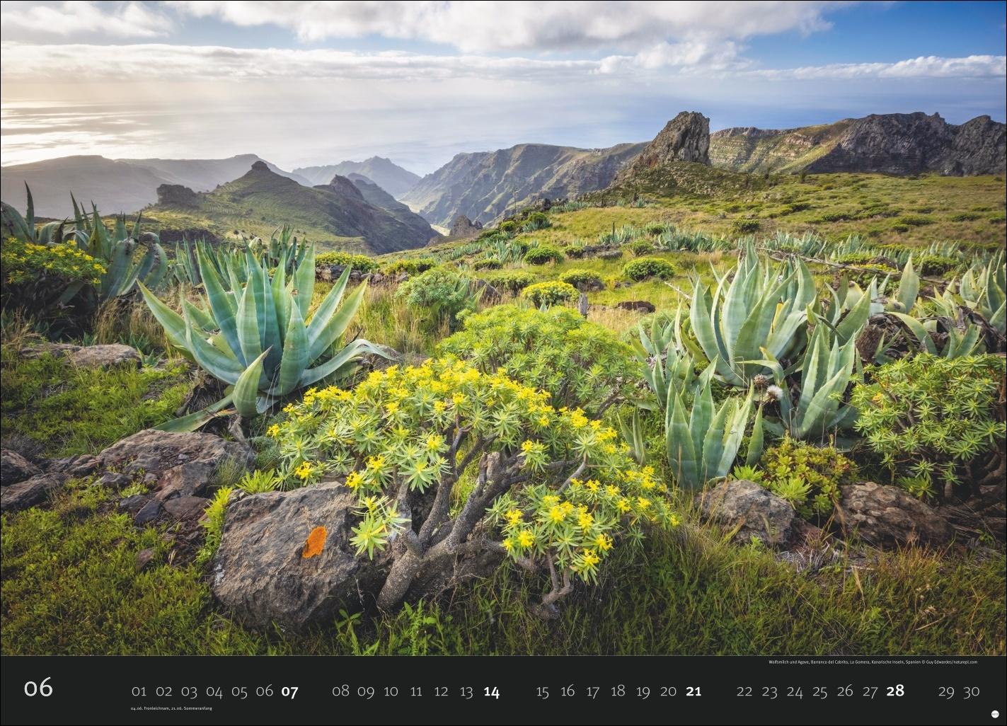 Bild: 9783756412723 | Landscapes Edition Kalender 2026 | Harenberg | Kalender | 14 S. | 2026