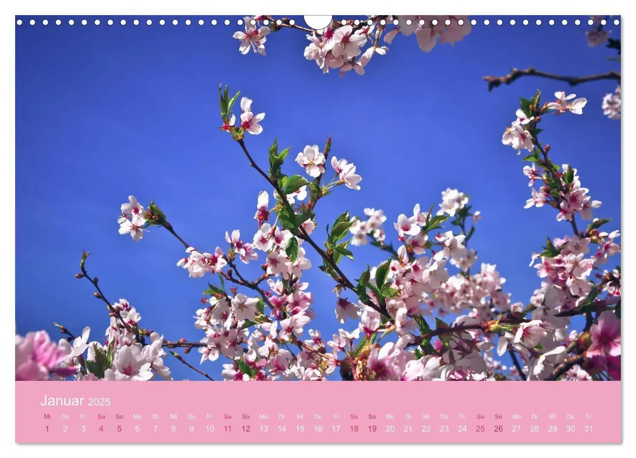 Bild: 9783435402823 | Zarte Kirschblüten - Berauschende Gedankendüfte (Wandkalender 2025...