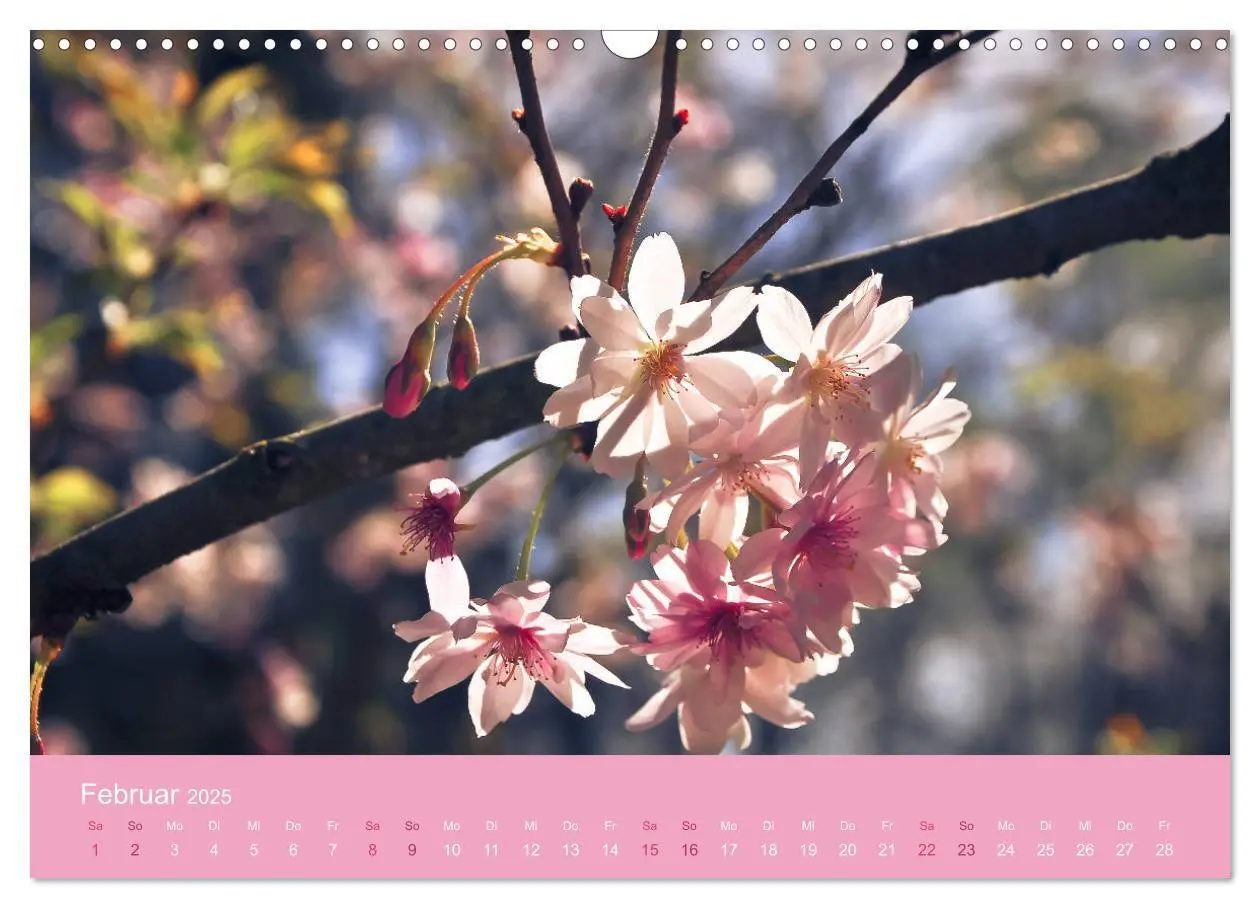 Bild: 9783435402823 | Zarte Kirschblüten - Berauschende Gedankendüfte (Wandkalender 2025...