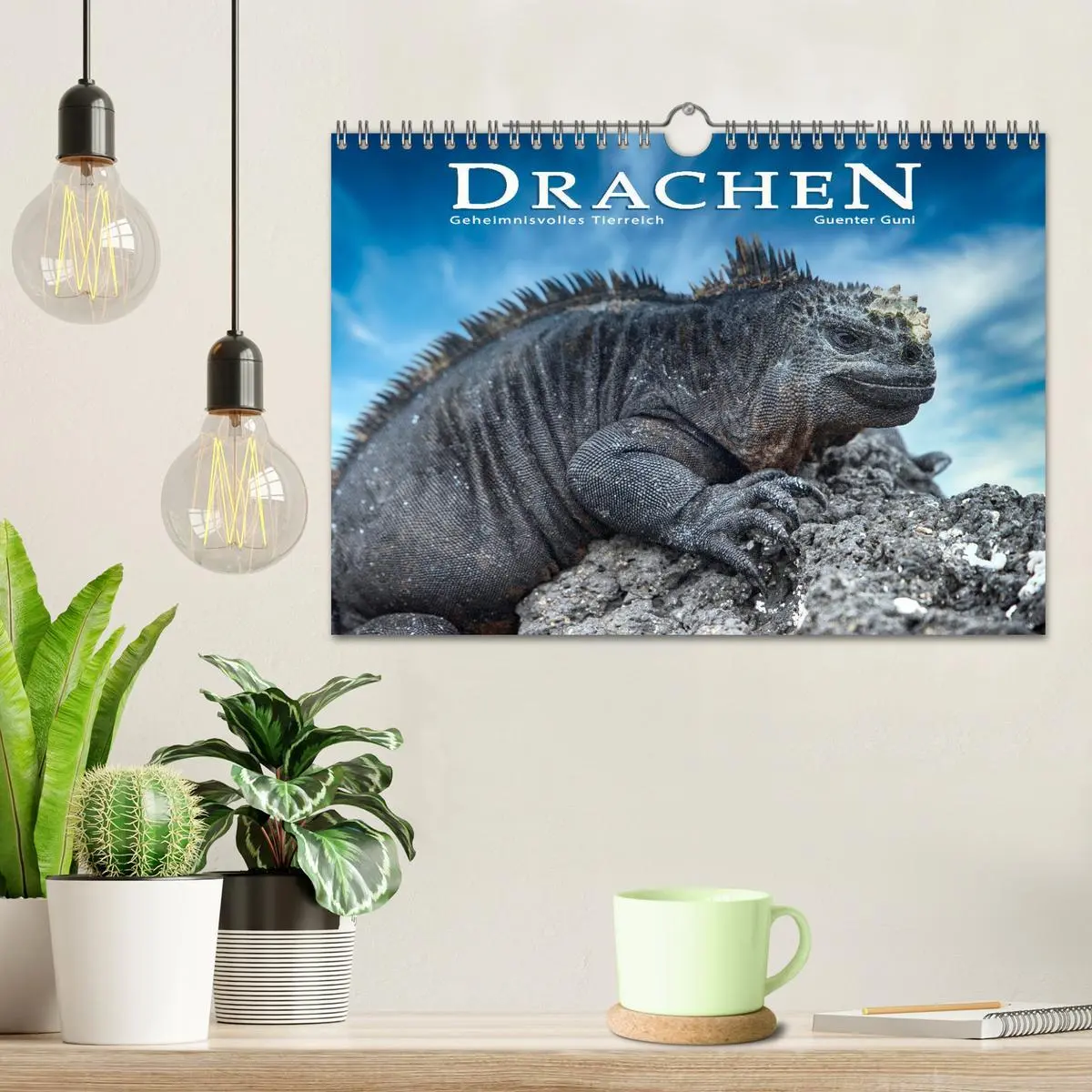 Bild: 9783457592823 | Drachen: Geheimnisvolles Tierreich (Wandkalender 2026 DIN A4 quer),...
