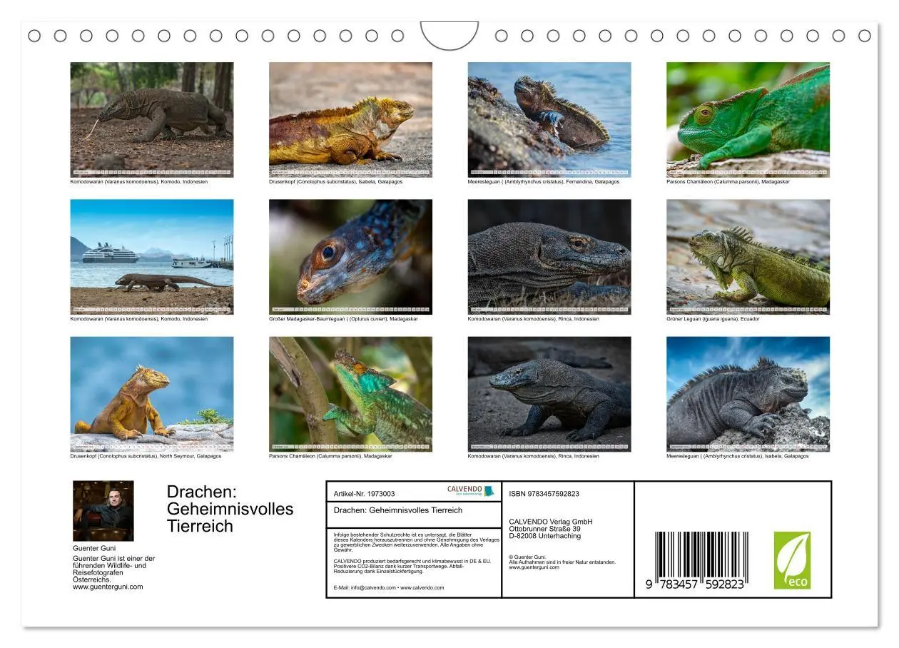 Bild: 9783457592823 | Drachen: Geheimnisvolles Tierreich (Wandkalender 2026 DIN A4 quer),...