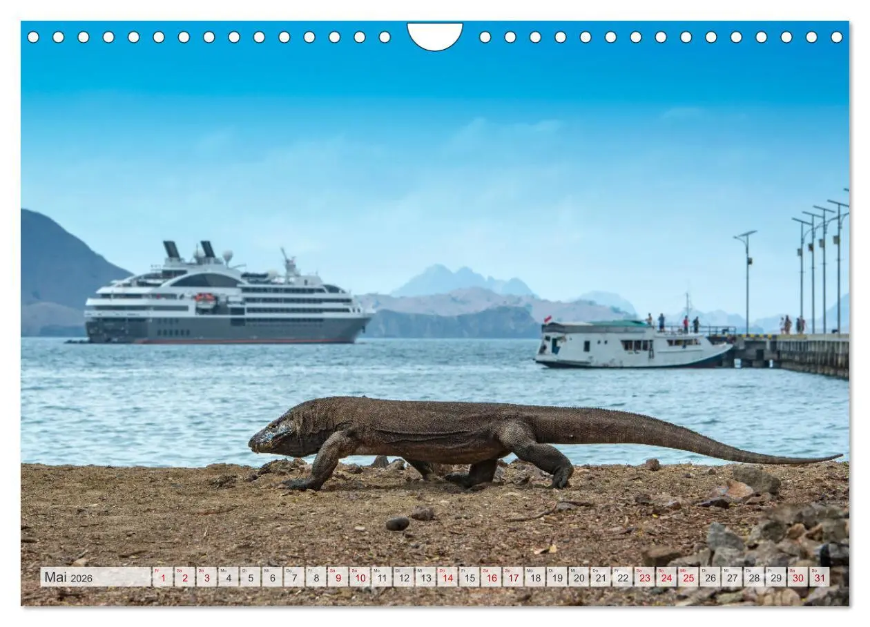 Bild: 9783457592823 | Drachen: Geheimnisvolles Tierreich (Wandkalender 2026 DIN A4 quer),...