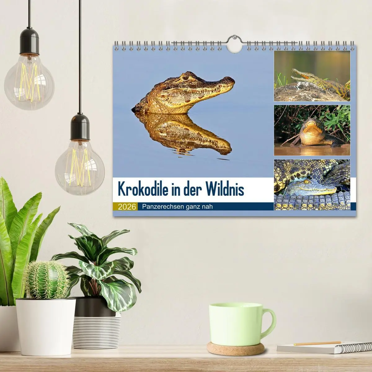 Bild: 9783457802823 | Krokodile in der Wildnis (Wandkalender 2026 DIN A4 quer), CALVENDO...