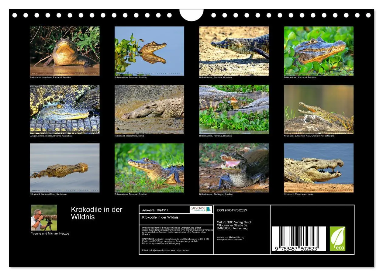 Bild: 9783457802823 | Krokodile in der Wildnis (Wandkalender 2026 DIN A4 quer), CALVENDO...