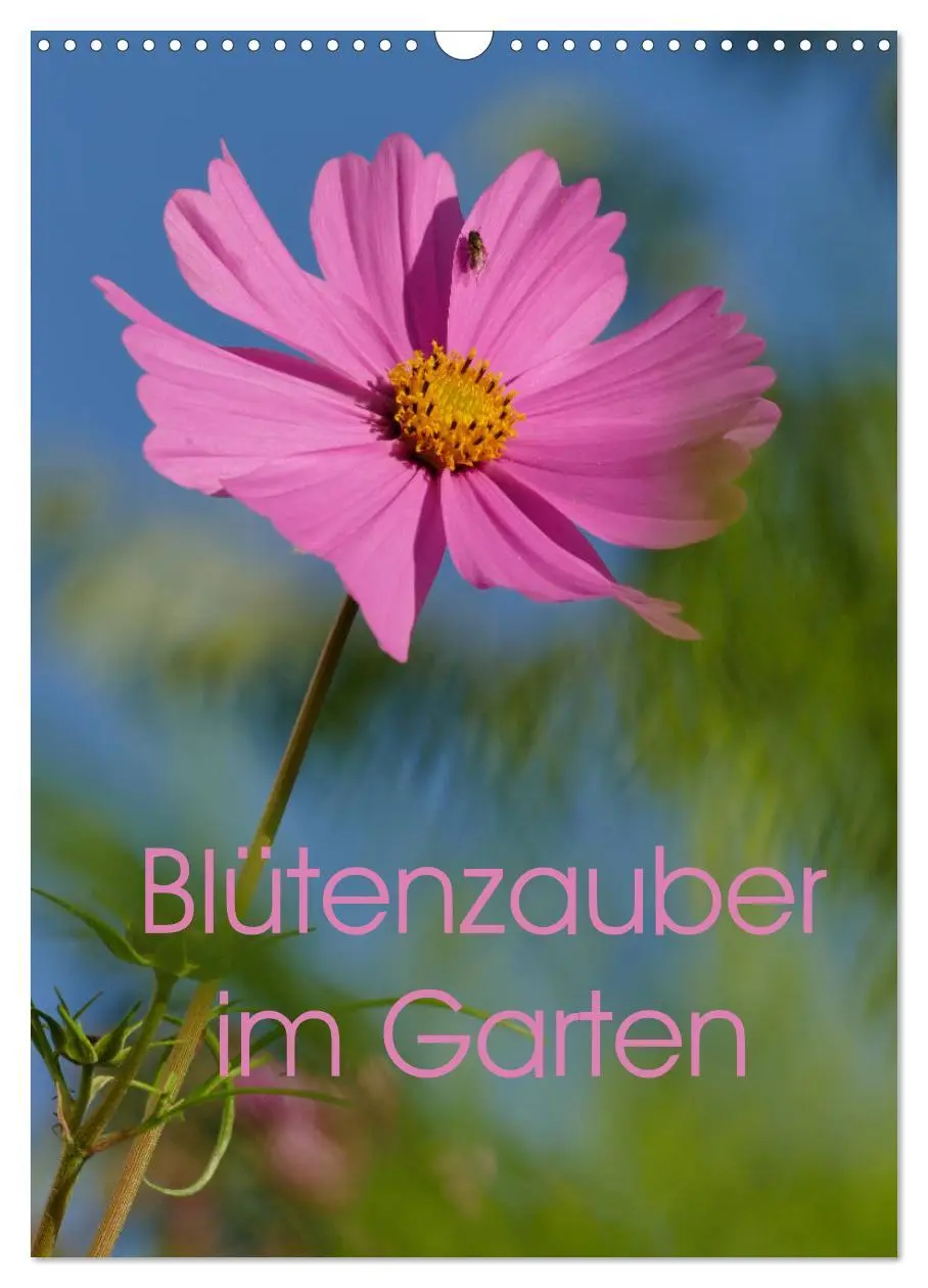 Cover: 9783516372823 | Blütenzauber im Garten (Wandkalender 2026 DIN A3 hoch), CALVENDO...