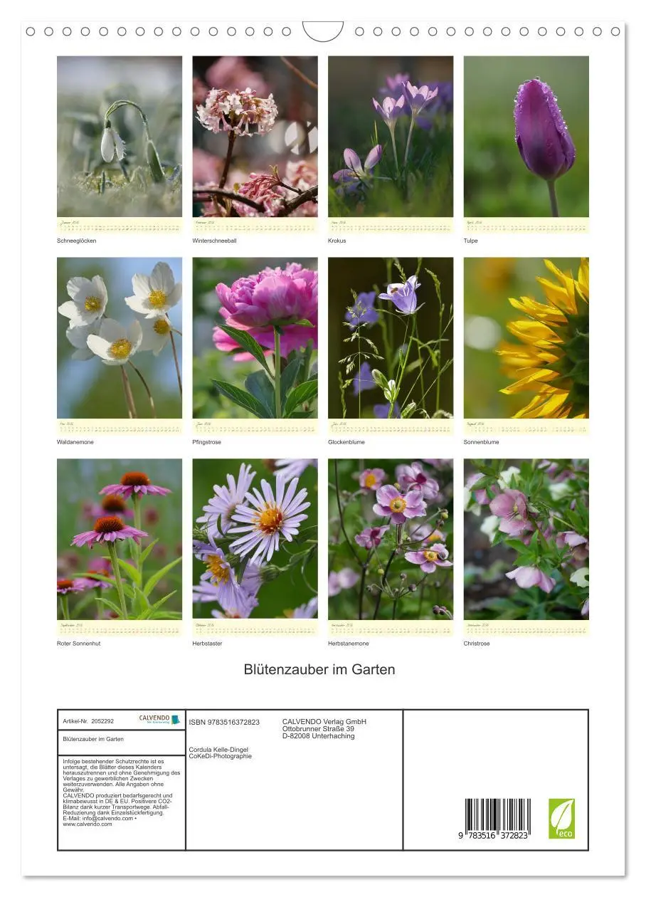 Bild: 9783516372823 | Blütenzauber im Garten (Wandkalender 2026 DIN A3 hoch), CALVENDO...