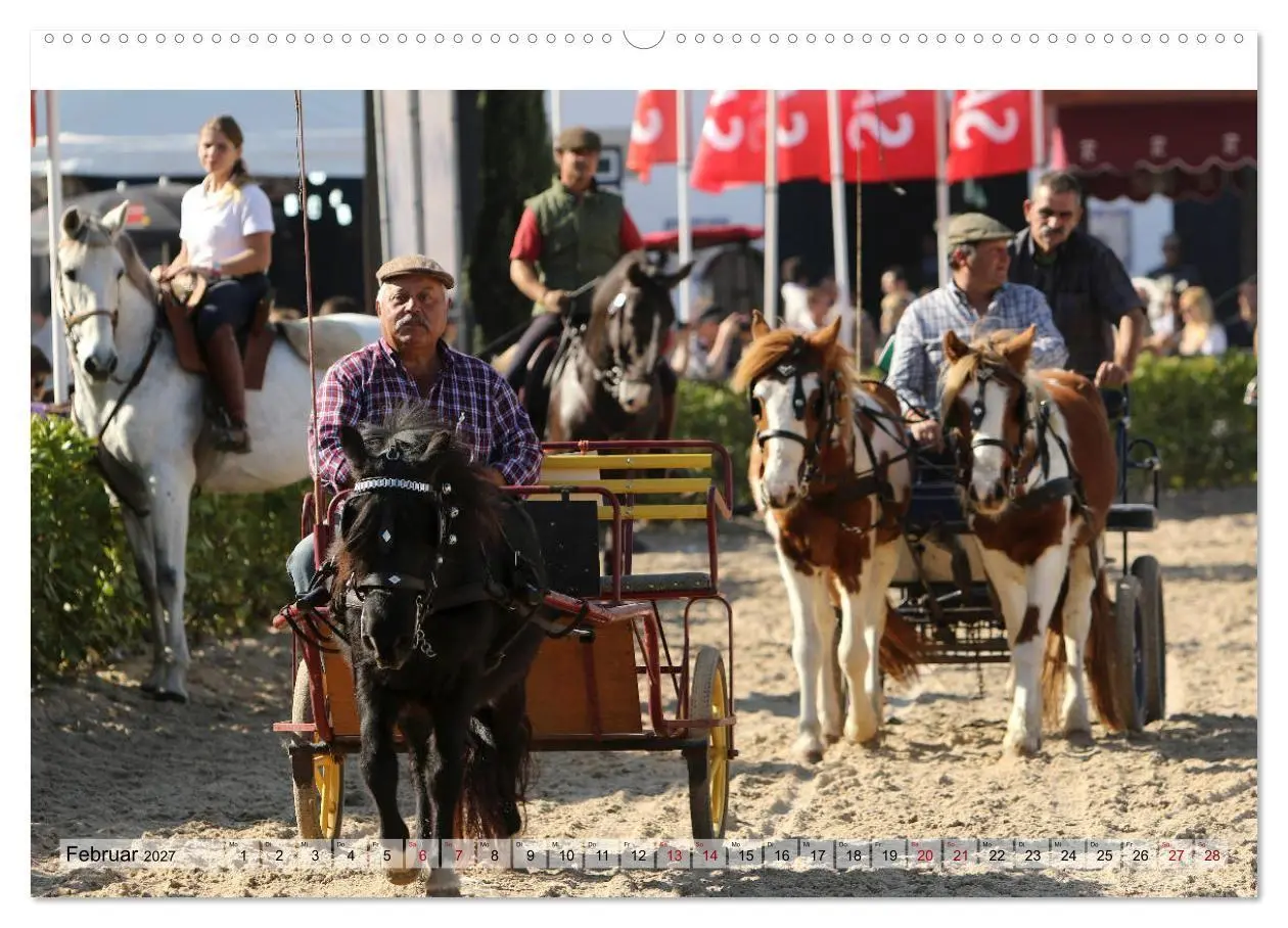 Bild: 9783569842823 | Portugal - Pferdefestival von Golegã (hochwertiger Premium...
