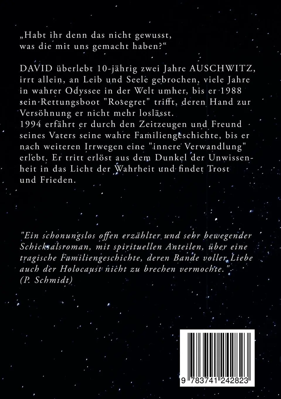 Rückseite: 9783741242823 | Ein Stern am Horizont | David | Margrit Seelig de Boll | Taschenbuch