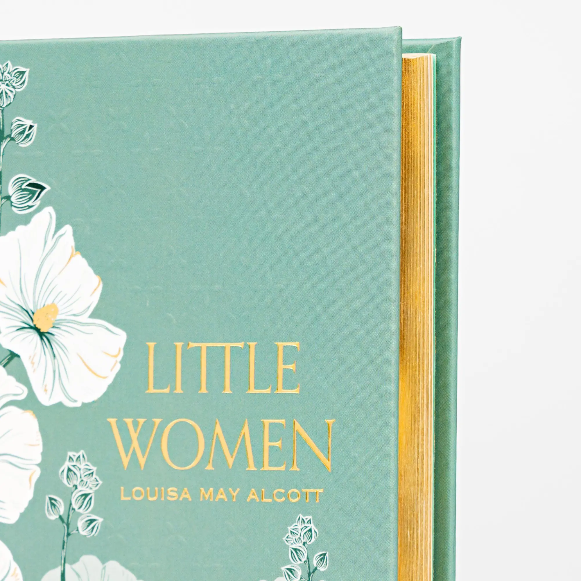 Bild: 9781454952923 | Little Women (Special Edition) | Louisa May Alcott | Buch | Englisch