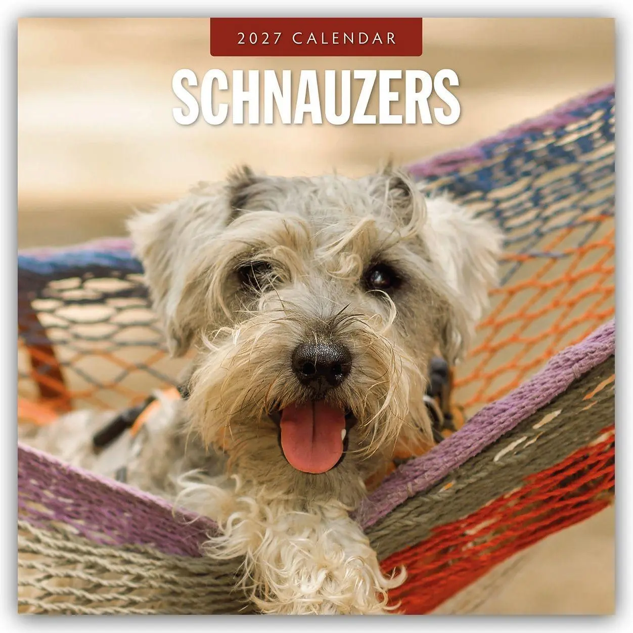 Cover: 9781837012923 | Schnauzer 2027 - 16-Monatskalender | Robin Red | Kalender | 28 S.