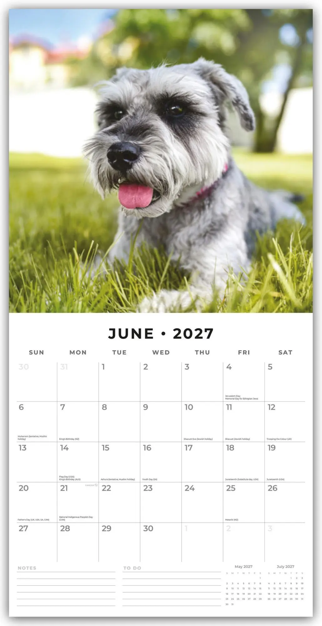 Bild: 9781837012923 | Schnauzer 2027 - 16-Monatskalender | Robin Red | Kalender | 28 S.