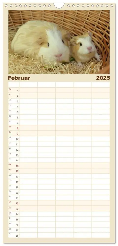 Bild: 9783457102923 | Familienplaner 2025 - Familienplaner BABY Meerschweinchen Traumhaft...